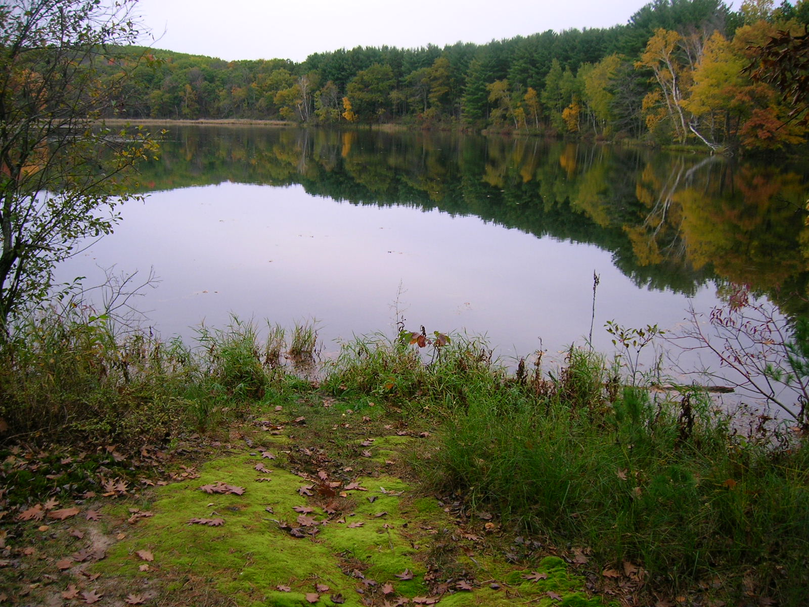 Allen Lake 2_20091021044758